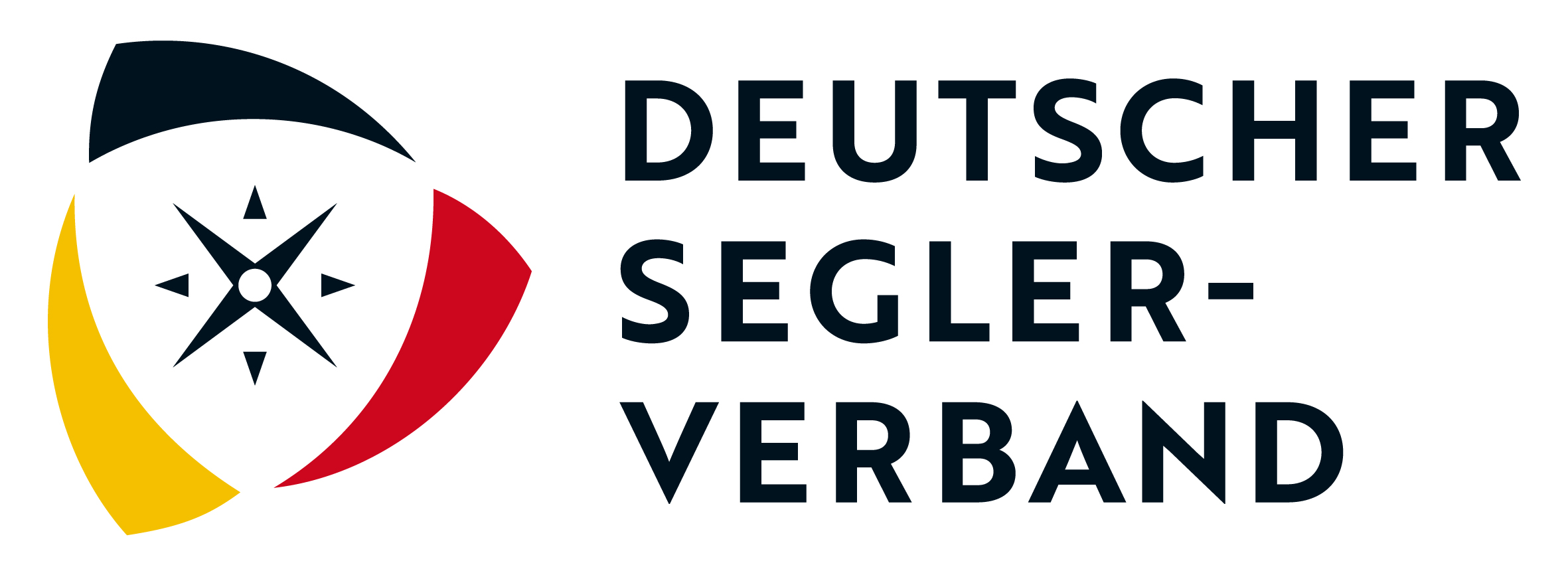 DSV Logo